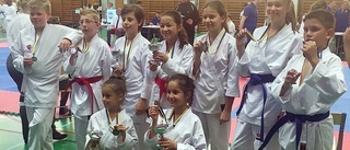 Nio RM-medaljer i karate