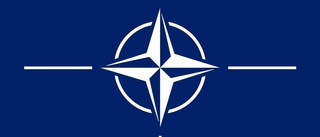 Christian Dahlgren: Extremister mot Nato