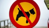 Hundförbud följs inte i Ishallen