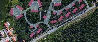 Här planeras 70 bostäder i skogen