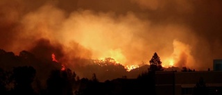 TV: Se den svåra skogsbranden