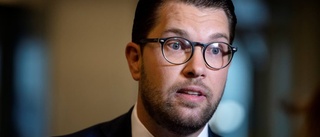 Vad menar Jimmie Åkesson?