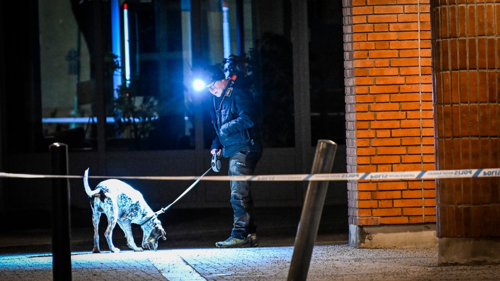 En av polisens hundförare söker av den plats som spärrats av sedan en man skjutits i Skarpnäck i södra Stockholm.