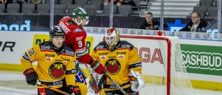 Här är Luleå Hockeys motstånd i SM-semifinalen