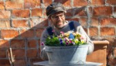 Helagotland lanserar nytt tv-program • Trädgårdsentusiasten: ”Vill bjuda på tips och odlingsglädje”