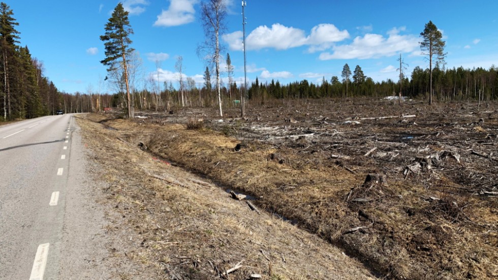 "Ett kalhygge väcker känslor. Det som tidigare var skog blir en stor tom yta, något som i debatten används flitigt för att illustrera att något är fel med svenskt skogsbruk."