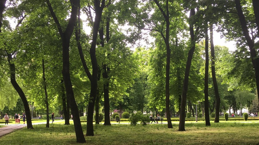 Vårgrönskan syns i Poltava, helt obrydd om kriget som pågått i snart tre månader. 