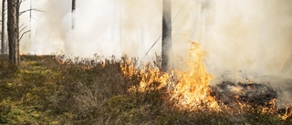 Risk för skogsbrand hela veckan