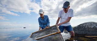 Kolonilotter i havet – i jakt på framtidens mat
