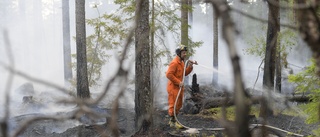 Eldningsförbudet hävs i södra länsdelen – nytt beslut för Skellefteå till veckan