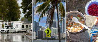 Husvagn, fjällvandring och vintercharter till Miami – så ser sörmlänningarnas semesterplaner ut