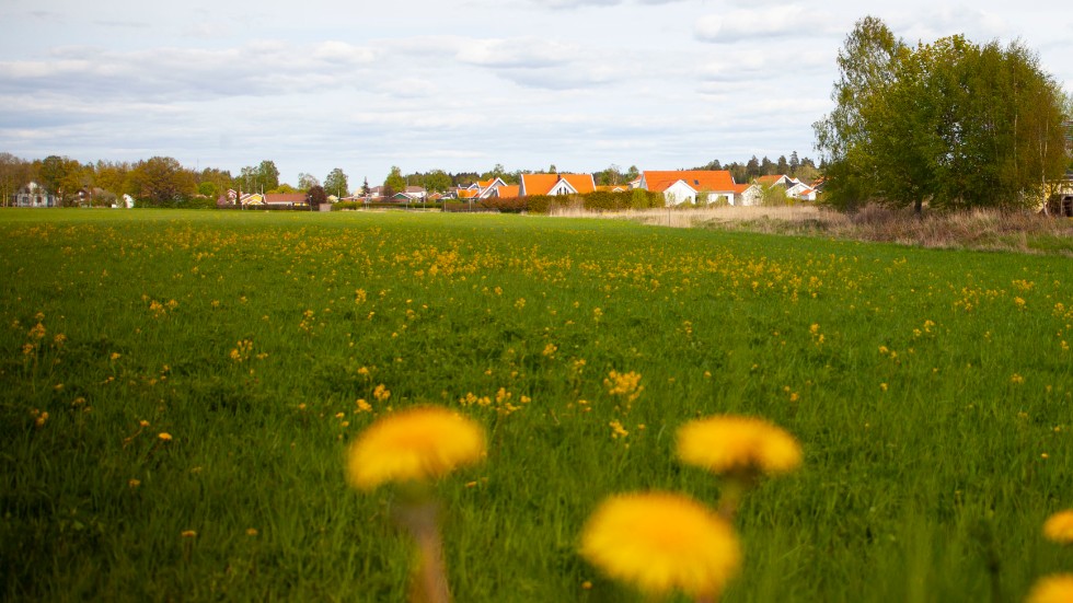 En del odlingsmark kommer att bli bostadsplats för nya Mantorpsbor, skriver Lars-Åke Pettersson (M).