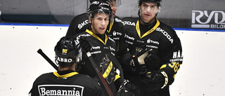 Trio klar för hockeyallsvenskans slutspel