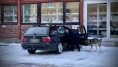 Piteåbo häktad för grovt vapenbrott: "Ett handeldvapen"