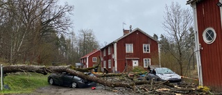 Träd föll över väg i Hälleforsnäs – krossade bilar och rev ned elledning