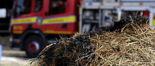 SMHI: Risk för gräsbränder i Västerbotten 