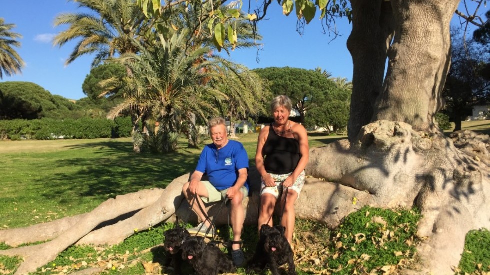 Irja och Tage Åberg är vana att resa med sina hundar. "Det gäller att följa all regler"