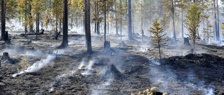 Så hjälps vi åt att undvika skogsbränder på Gotland