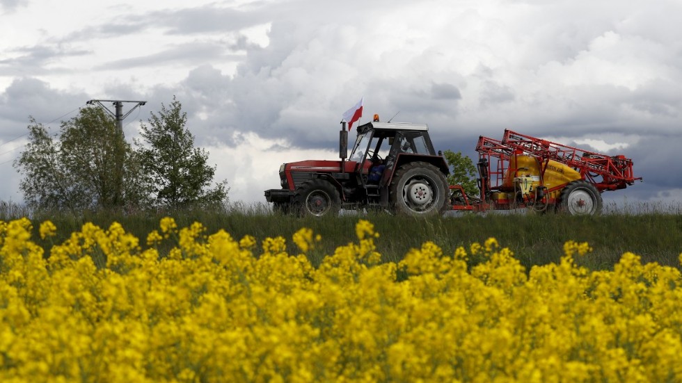 En traktor vid gränsen mellan Tjeckien och Polen. Efter många års förhandlingar är en kompromiss nådd om nästa reform av EU:s jordbrukspolitik. Arkivbild.