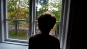 Dansk elitskola utreds för 14 misstänkta brott