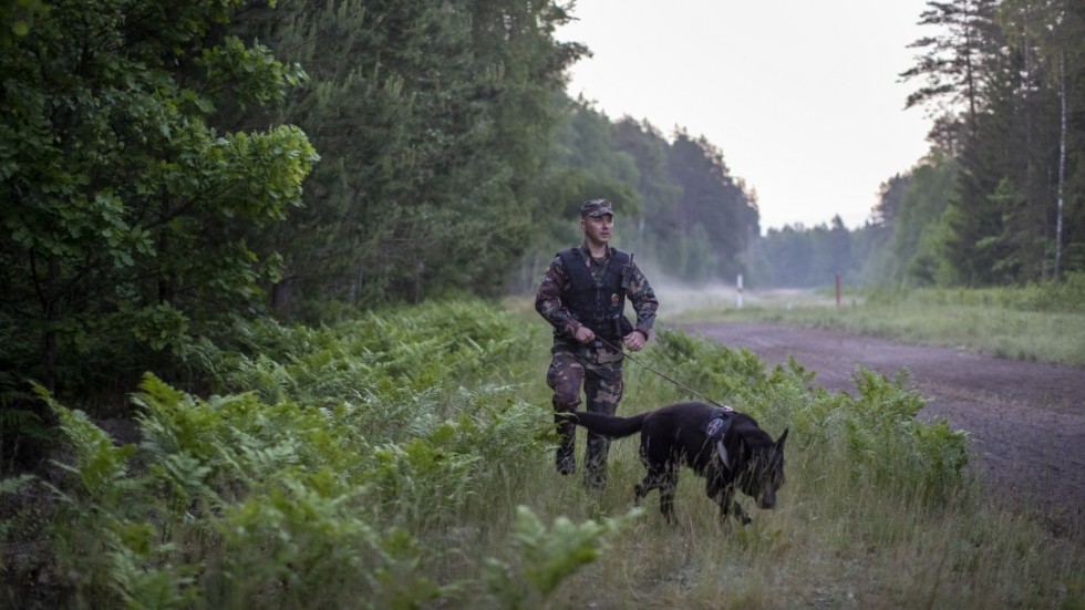 Litauens gränskontroll patrullerar vid gränsen mot Belarus eftersom antalet migranter därifrån ökat avsevärt. Bild från den 10 juni.