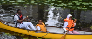Scouterna satsar på integration med paddling: "Vårt bidrag till samhället"