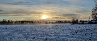 Läsarbilden: Så vackert på åkern!