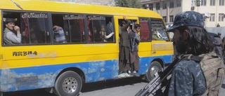 Talibanerna: Tre dödade i strider med IS