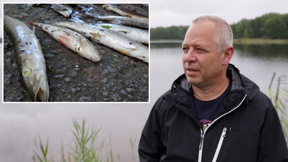 Tino Åberg ifrågasätter bilden av "vårflodsel" från Lule älv efter att ha sett dokumentären "Fiskarnas rike" på SVT.