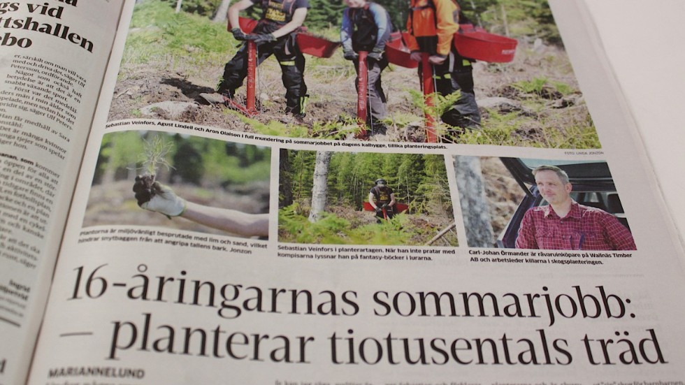 Insändarskribenten blev glad när han läste artikeln om de tre 16-åringarna Sebastian Veinfors, Agust Lindell och Aron Olaison, som jobbar med skogsplantering. Han tror att beröm föder lusten till sommarjobb.