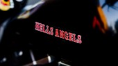 Lokal SD-topp kan uteslutas – efter festerna med Hells Angels: "Finns ett ärende"