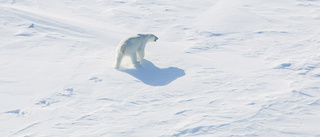 Tv-serieinspelning till Nordpolen i jakt på is