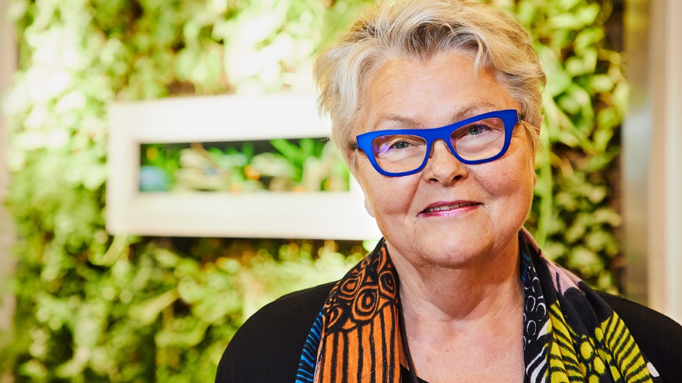 Eva Eriksson, förbundsordförande SPF Seniorerna. Arkivbild.