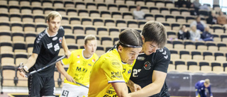 Här är det nya Visby IBK – spelare för spelare