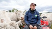 TV • Elof är med och tävlar om titeln Årets bonde • "Jag är nog inte urtypen av en bonde"