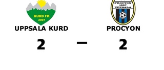 Procyon fixade en poäng mot Uppsala Kurd
