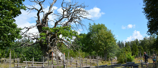 Varför så lite pengar för att sköta våra naturreservat?