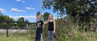 Problem med skolskjutsarna –sjuåringarna Eira och Vilhelm: "Ibland kommer inte bussen" • Bolaget: "Missat en gång – sen tre gånger"