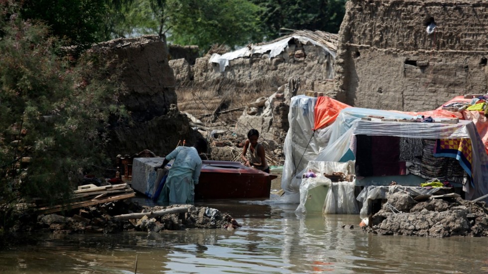 I provinsen Sindh i Pakistan försöker människor samla ihop sina ägodelar efter att översvämningar lagt stora områden under vatten. Bilden är från slutet av augusti.