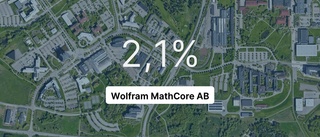 Pilarna pekar nedåt för Wolfram MathCore AB