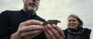 Arkeologernas fynd vid Mora stenar – hästskor från medeltiden