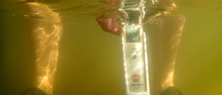 Förhöjda värden av bakterier i vattnet på tre badplatser