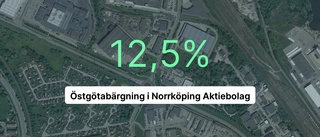 Norrköpingsföretaget gör kraftig ökning – omsättningen ökade med över 28 procent