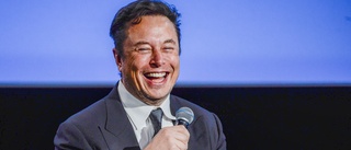 Musk vill åter köpa Twitter till ursprungspris