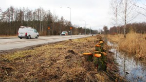 Här bromsas översvämningarna – och gör trafikanter mer synliga