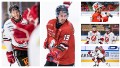 Vita Hästens silly season ligger på vänt. Men om den kommer igång finns saker att fundera över.