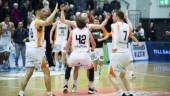 Semifinaltipset: Här är lagen som går till SM-final