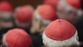 Vatikanen avkragar präst för hädiska inlägg