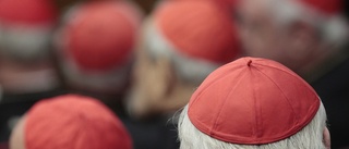 Vatikanen avkragar präst för hädiska inlägg