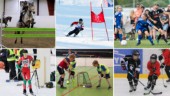 Stor undersökning: Så mycket kostar det för barn att idrotta i Piteå